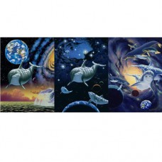 SAVE OUR PLANET Dolphin Delight